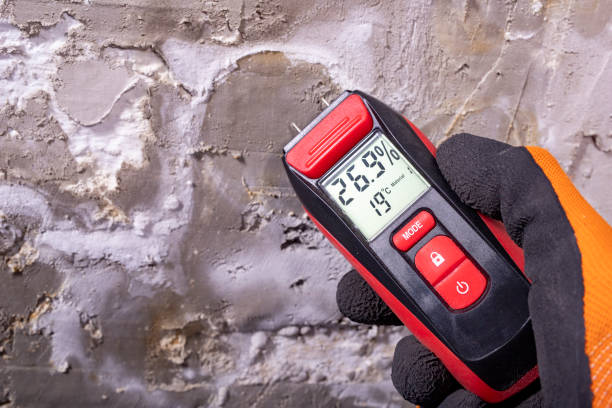 Best Mold Remediation Services  in Macdonnell Heights, NY