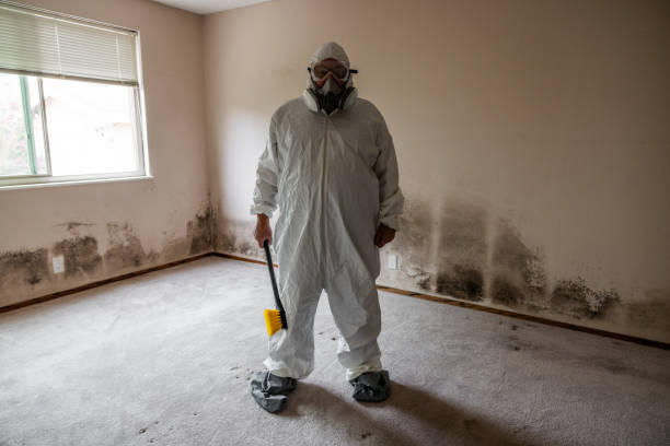 Best Commercial Mold Removal  in Macdonnell Heights, NY